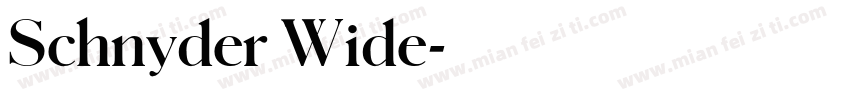 Schnyder Wide字体转换